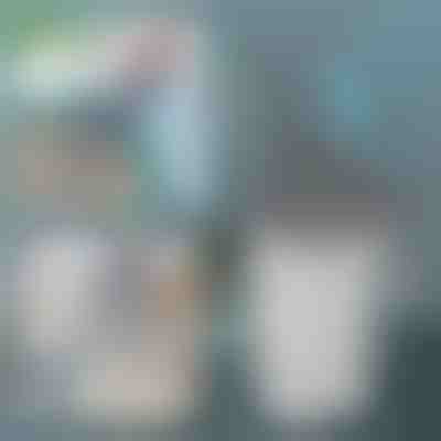 Paletta per sabbiera del gatto | SCOOPY