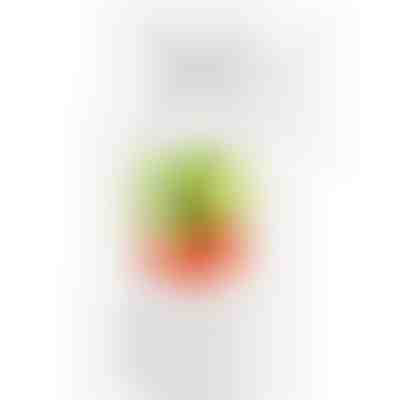 Frullatore di succo portatile | JUCIFY