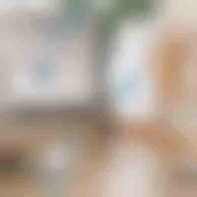 Spazzola elettrica rotante per la puliziaž | ROTOBRUSH