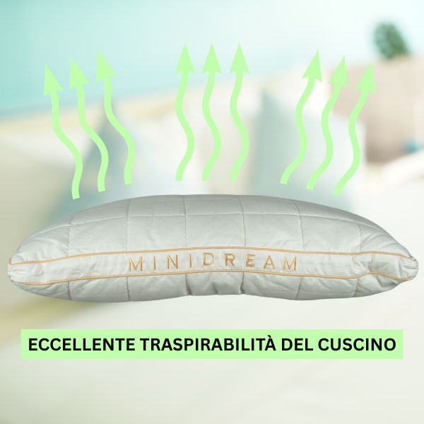 MINIDREAM